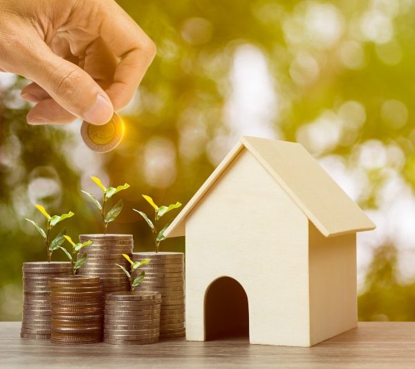 A hand places coins into a house model on a wooden table, with coins and plants, representing private equity in Nepal.